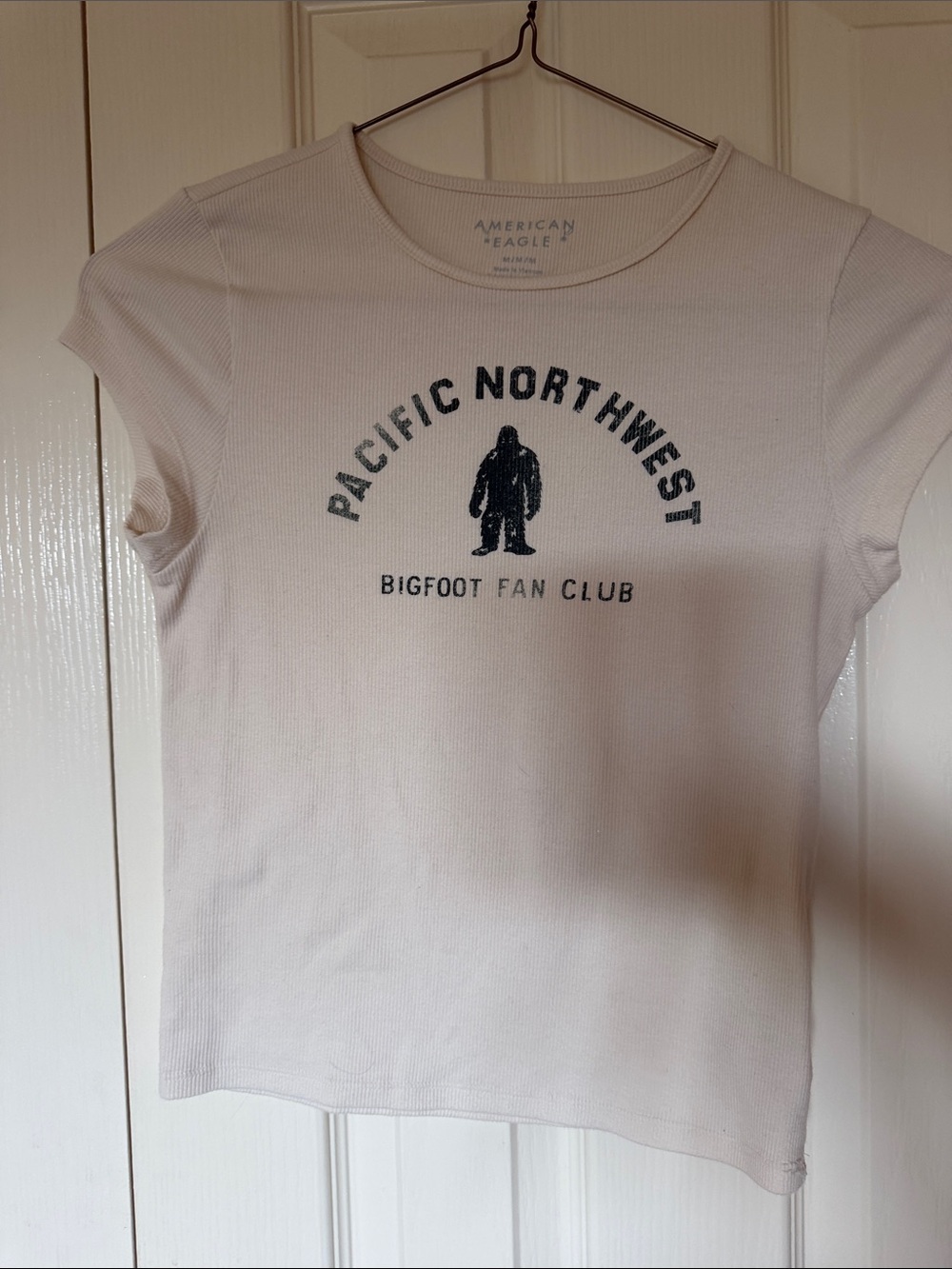 American Eagle Outfitters White Graphic Bigfoot Crop Tee